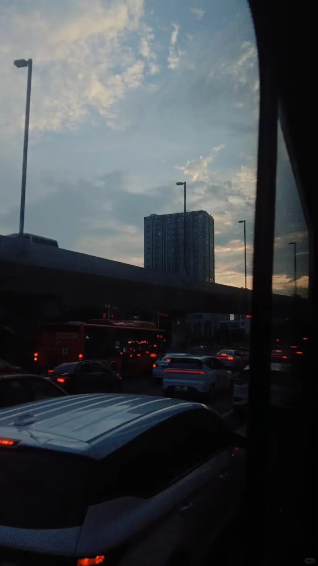 近乎偏执病态的爱意具象化.