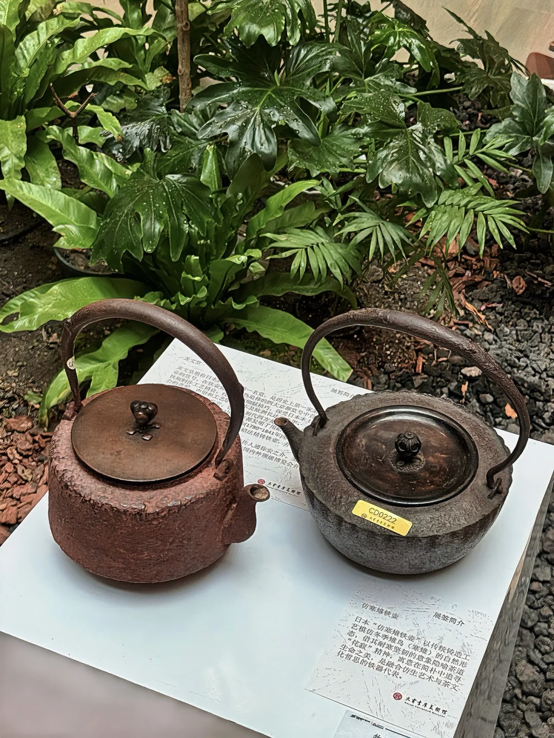 大连新展！在闹市中感受一场『器墨清心』