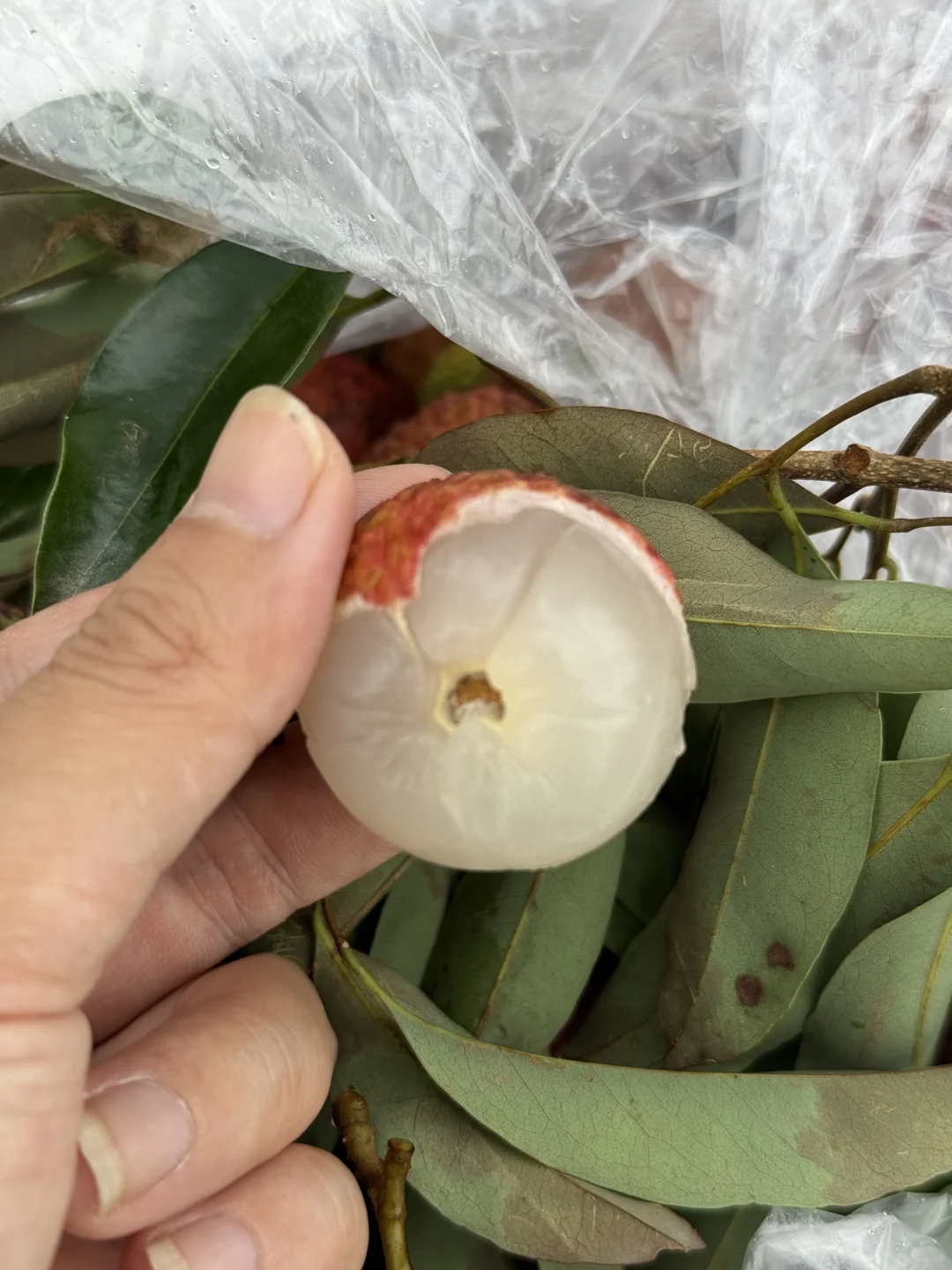 社区团购第一天，给大家说说我的思路。