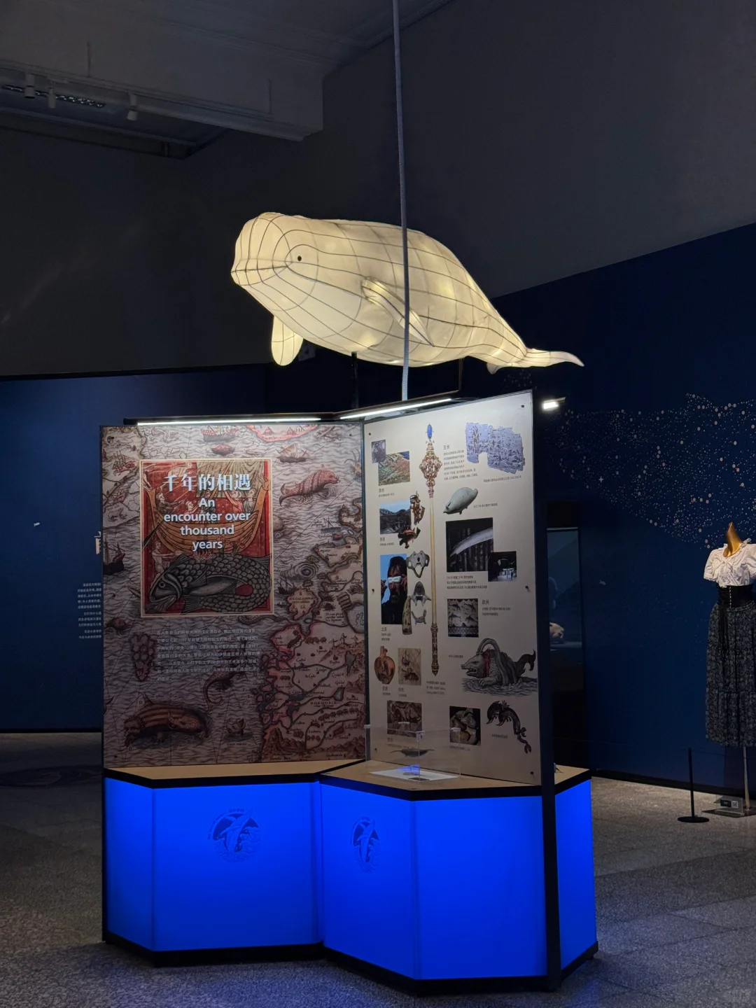 石家庄！新展！海底世界！趁没人赶紧来