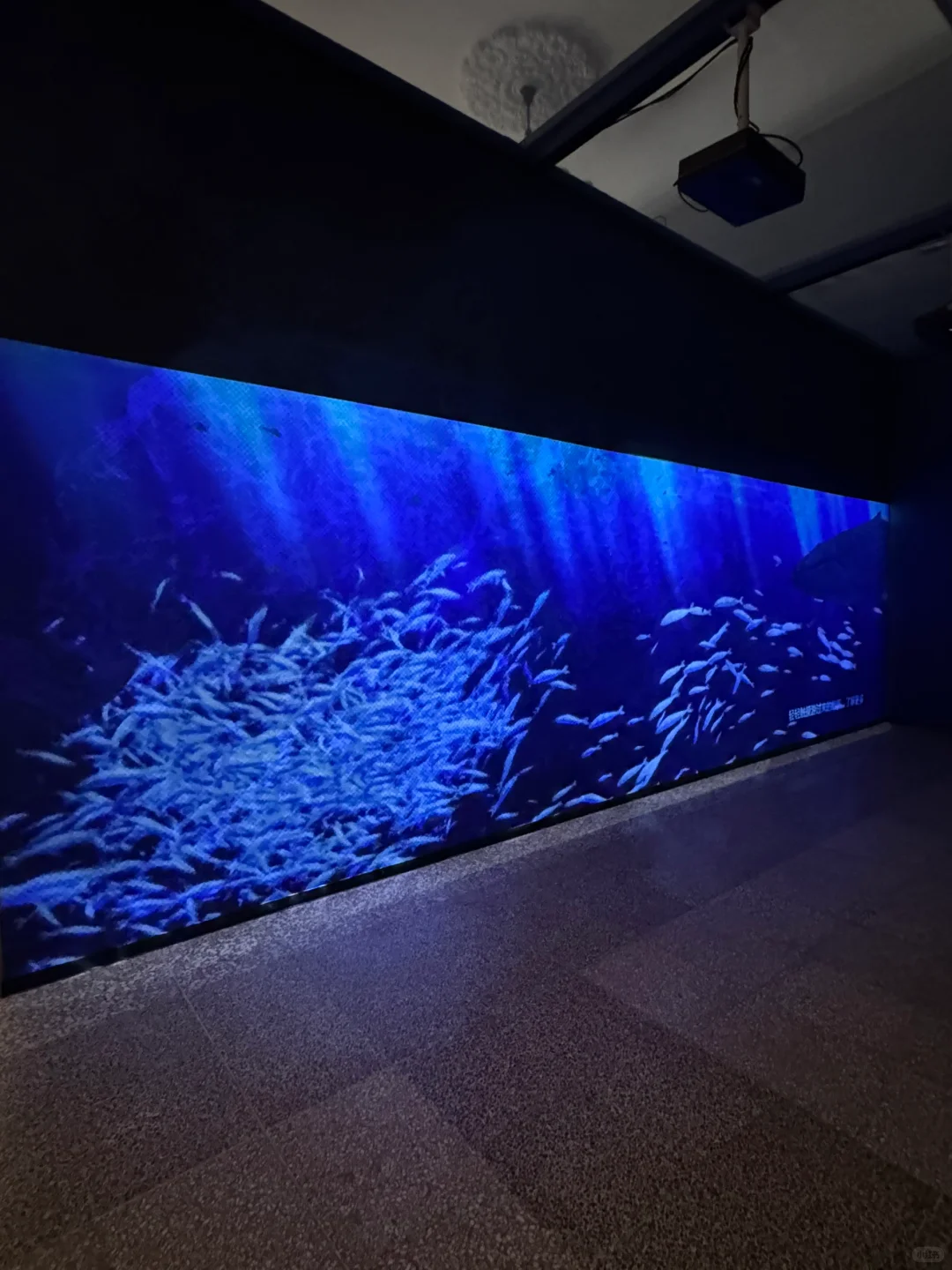 石家庄！新展！海底世界！趁没人赶紧来