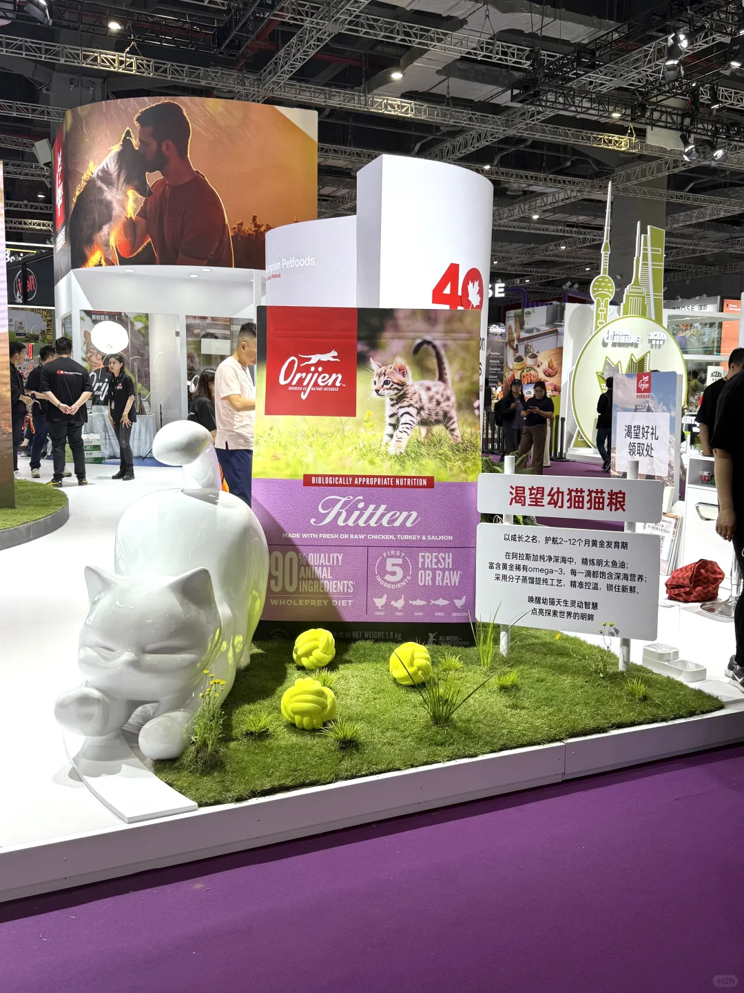 它博会宠物展台设计~原野猎食渴望