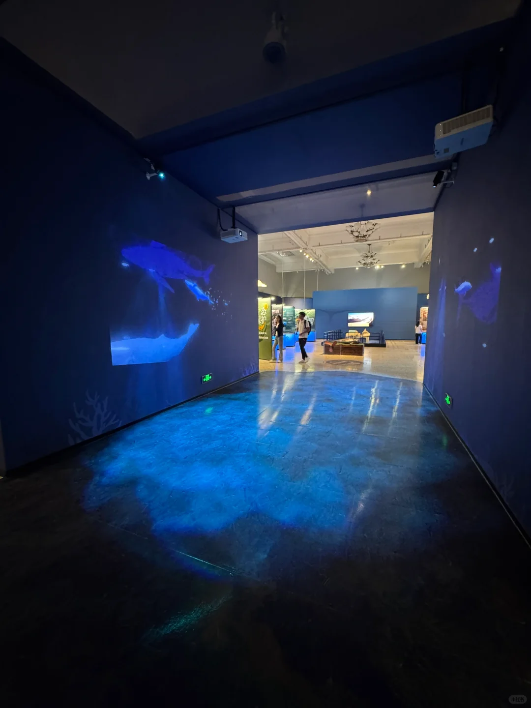 石家庄！新展！海底世界！趁没人赶紧来