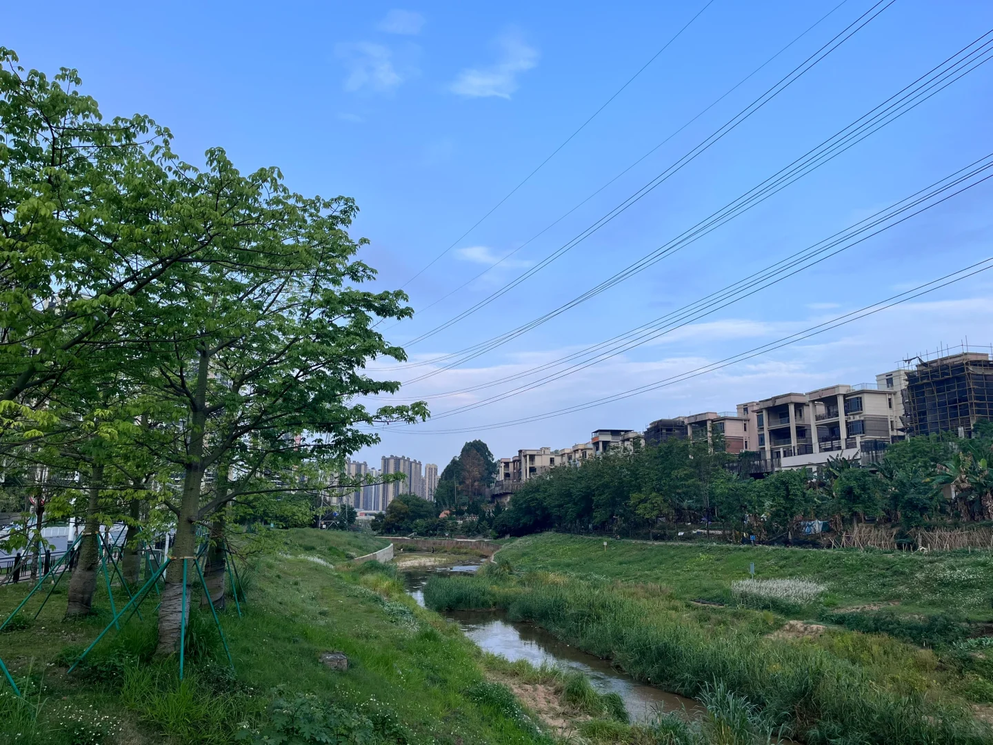 在爱和抵抗中你哭过很多次了不能再哭了哦