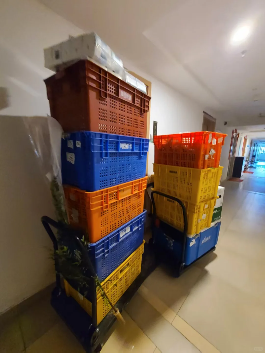 次日达就是会败给小时达的不是吗