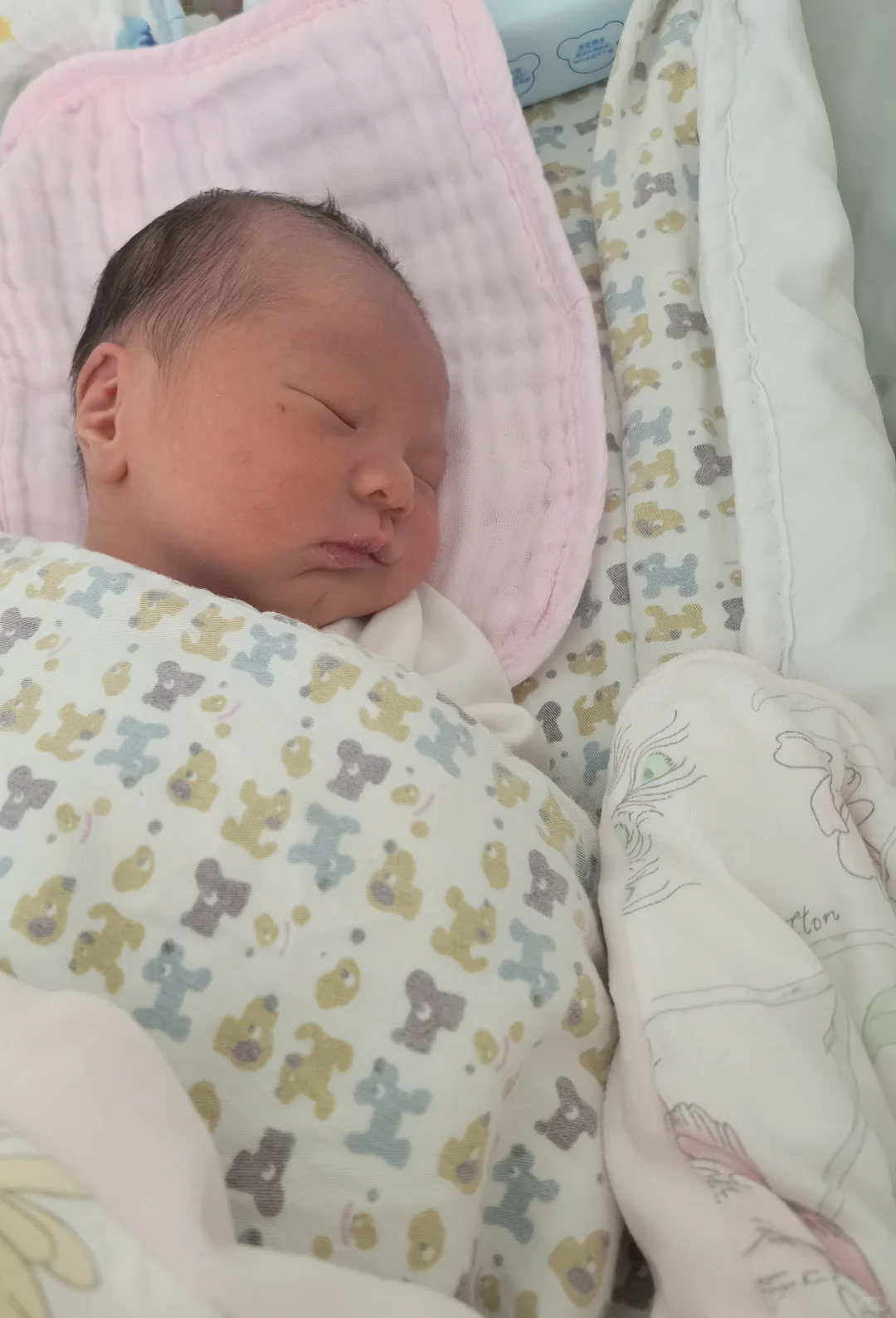 关于怀孕艰难这件事,我有话说3~