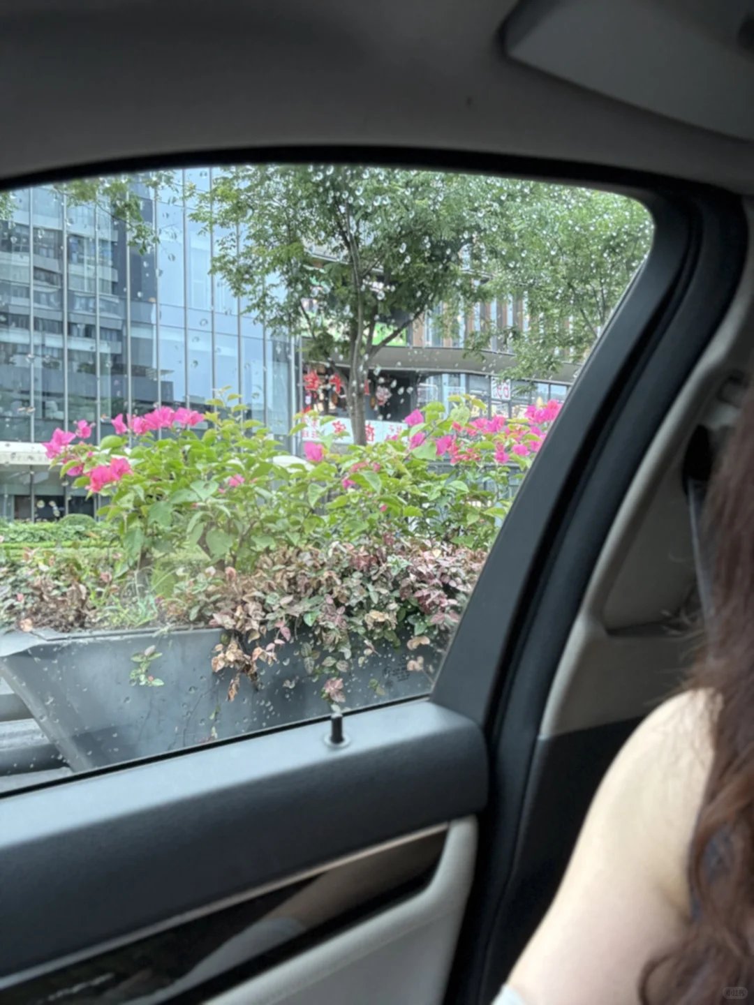 50+｜近一点看得更清楚，终究是老了