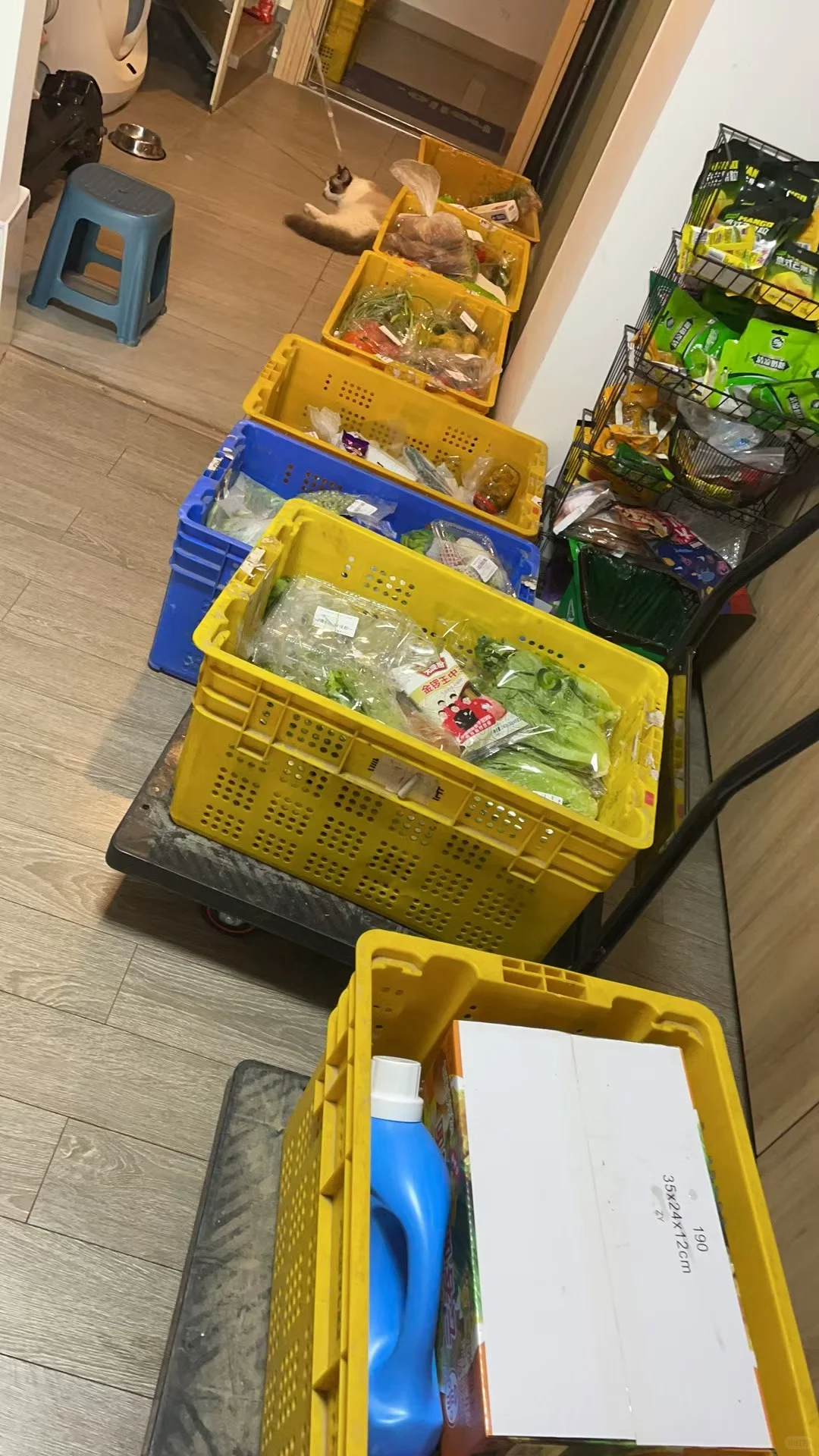 次日达就是会败给小时达的不是吗