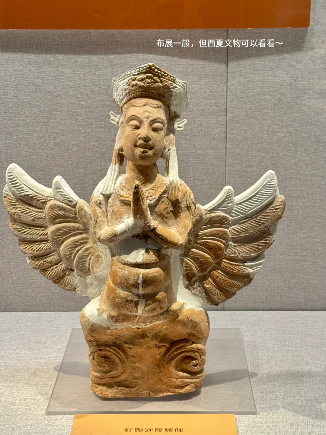 上海新展！诚意满满！