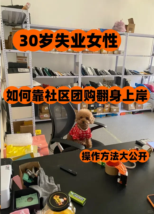 揭秘：30失业的她如何靠社区团购翻身上岸！