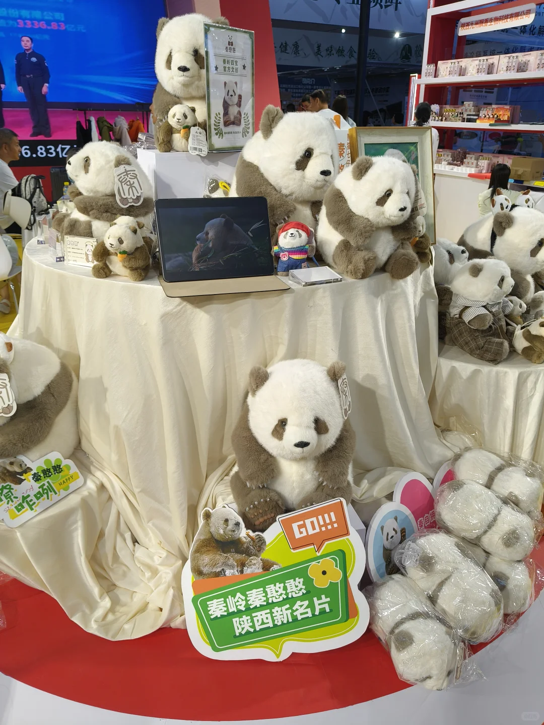 第九届亚欧商博会~