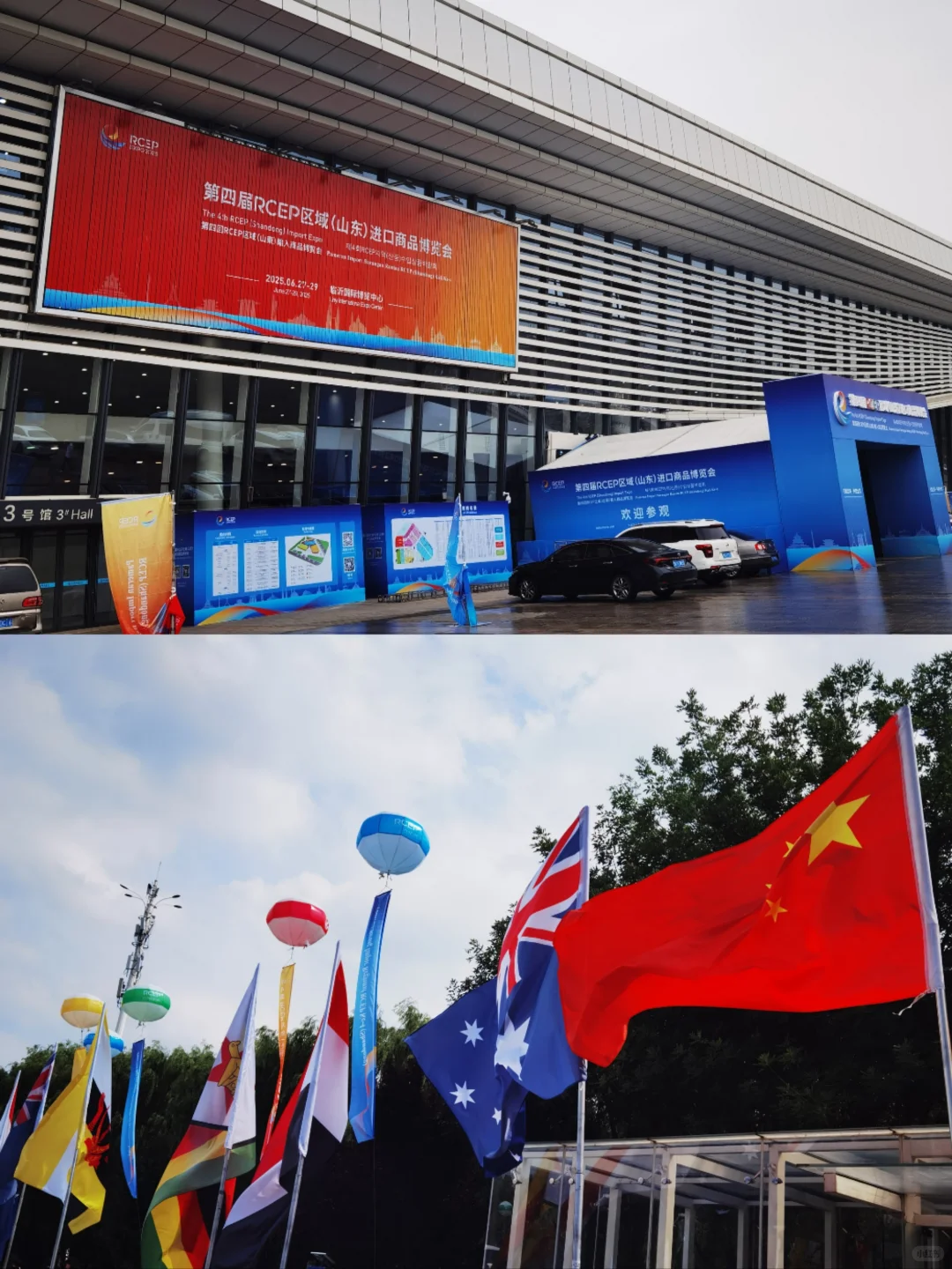 E路出海·共链全球｜RCEP区域（山东）进博会