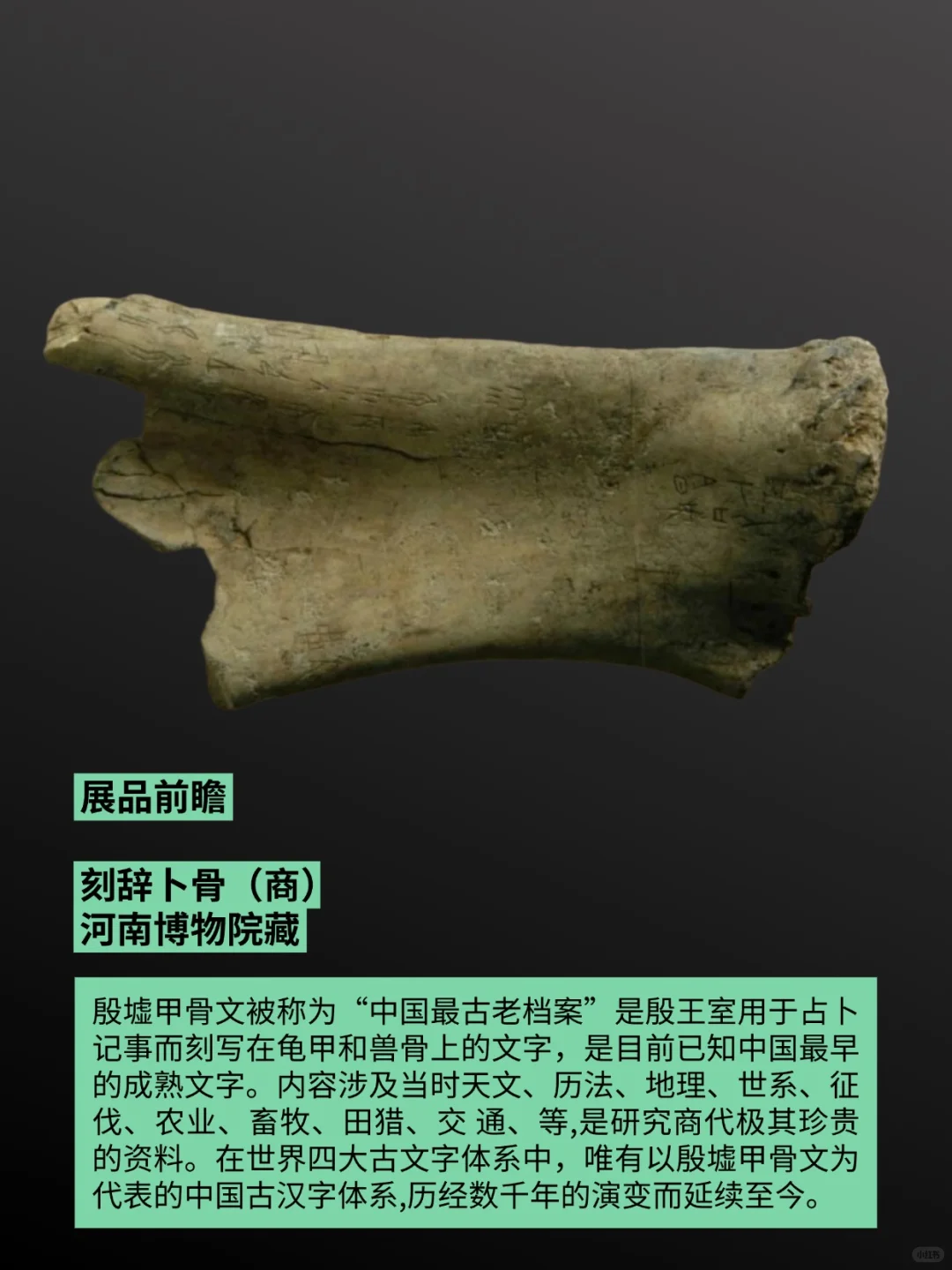 广东省博物馆7月将举办夏商周礼乐特展！