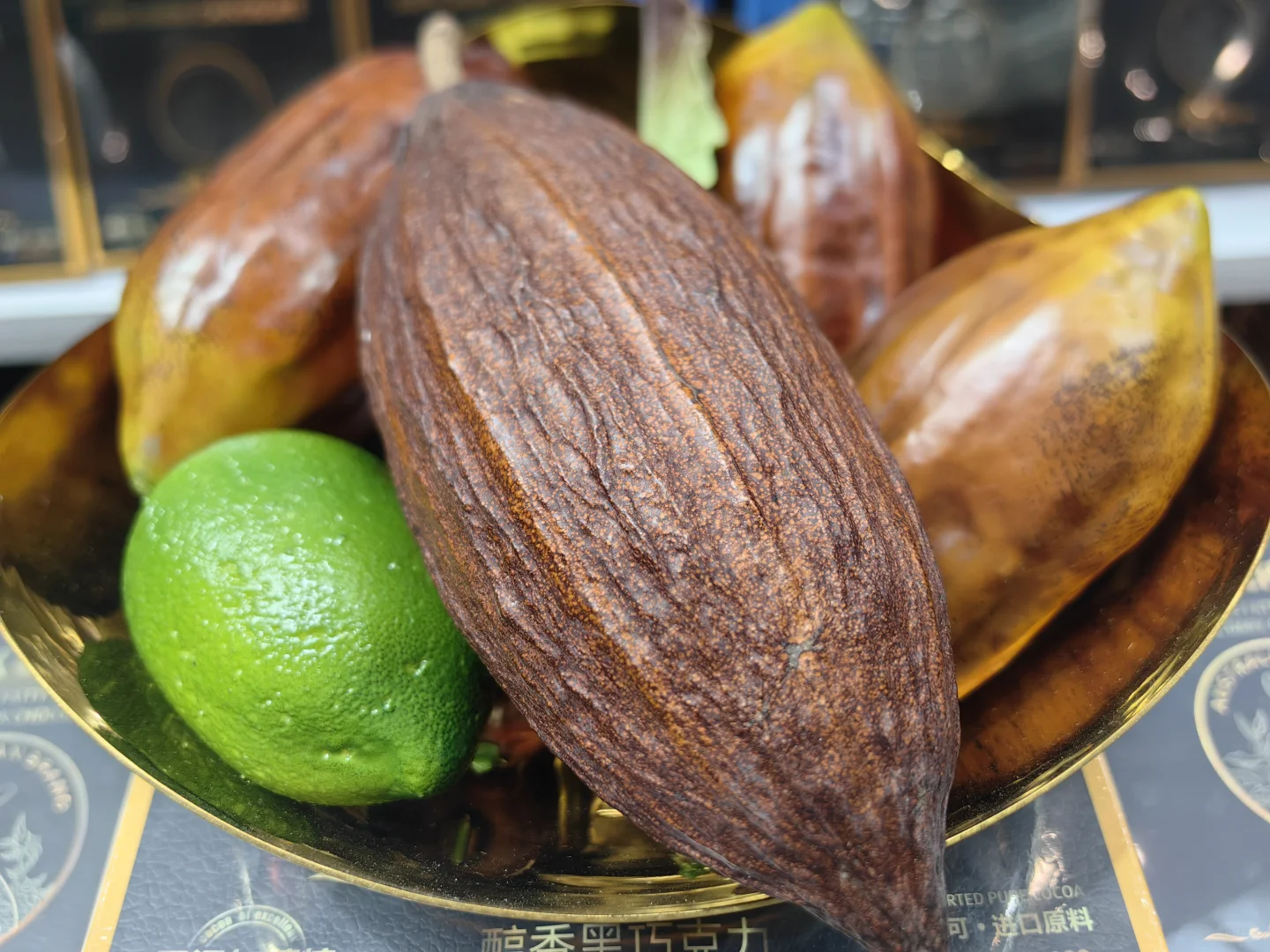 新疆商博会上的国际范儿