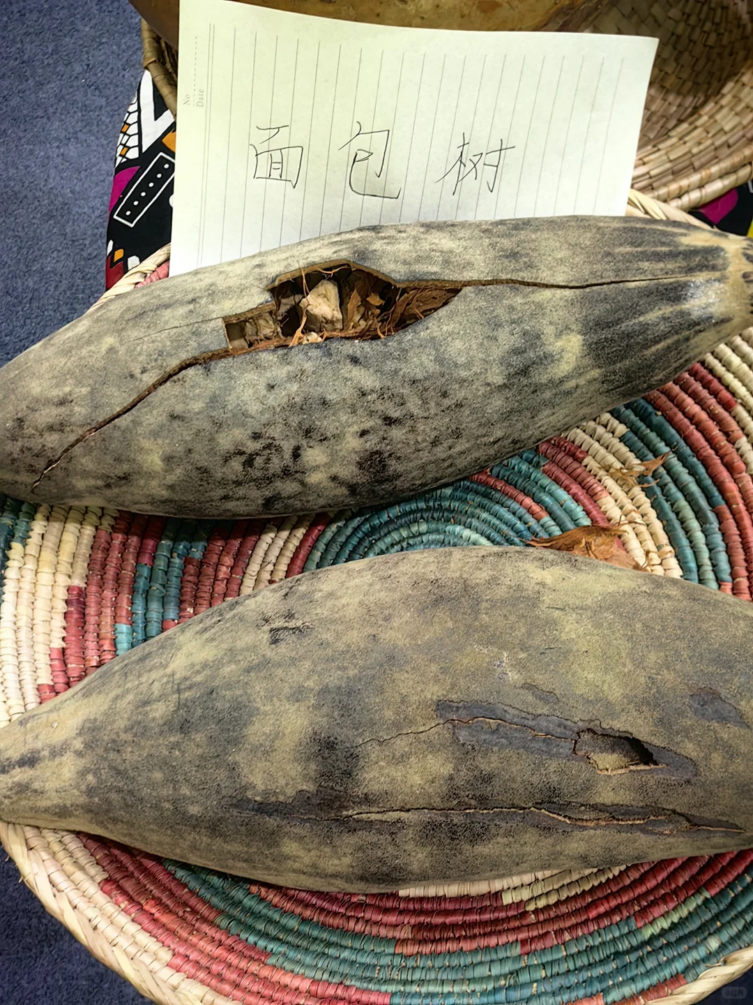 新疆商博会上的国际范儿