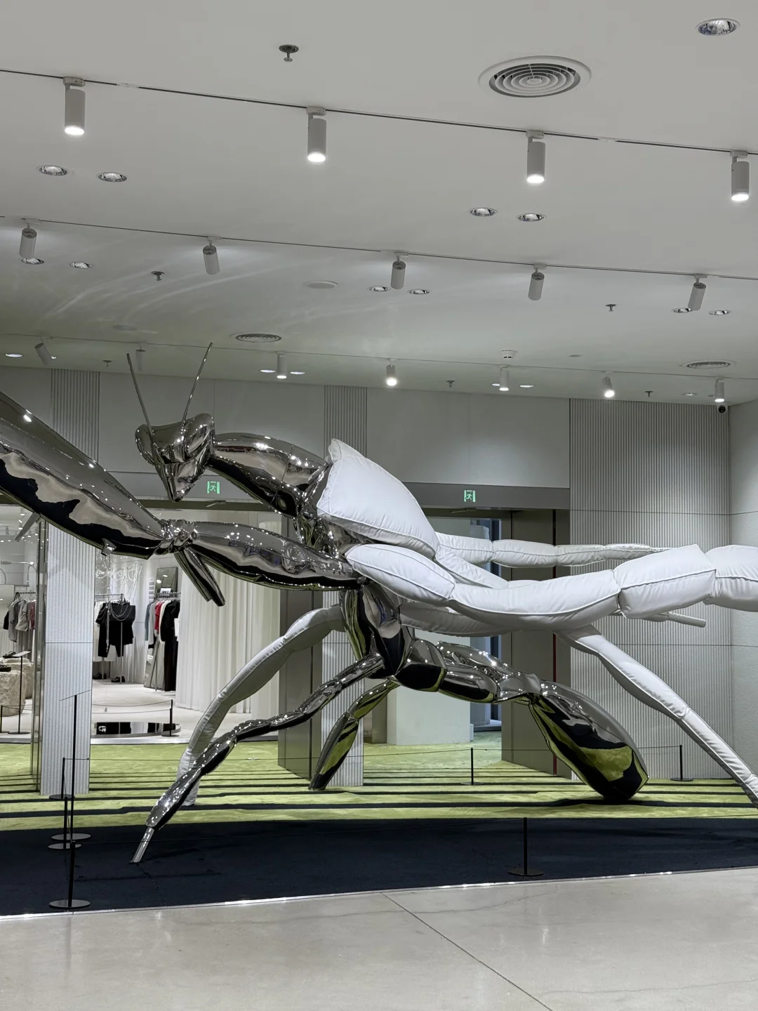 巨物展
