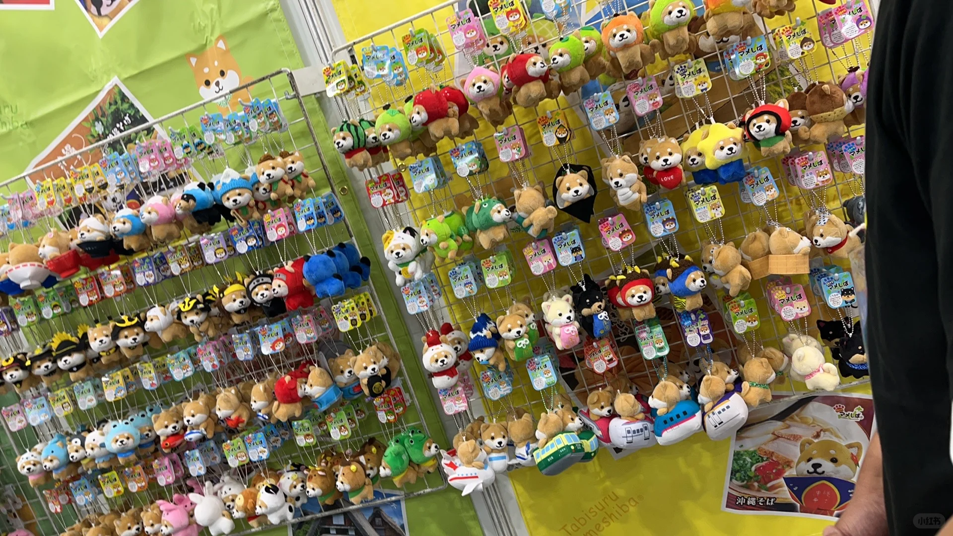 ??错过等一年?日本interpets宠物展