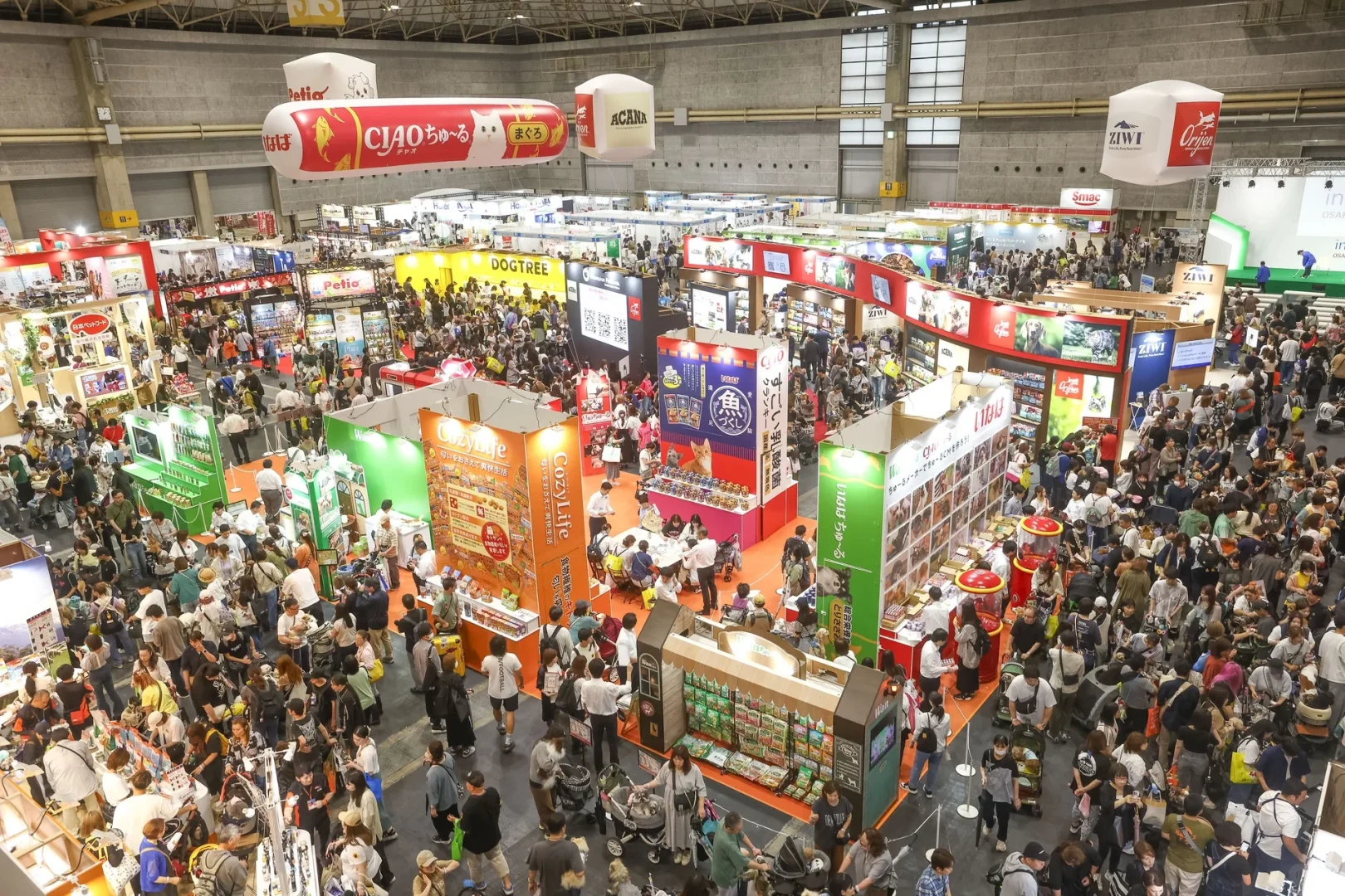 ??错过等一年?日本interpets宠物展
