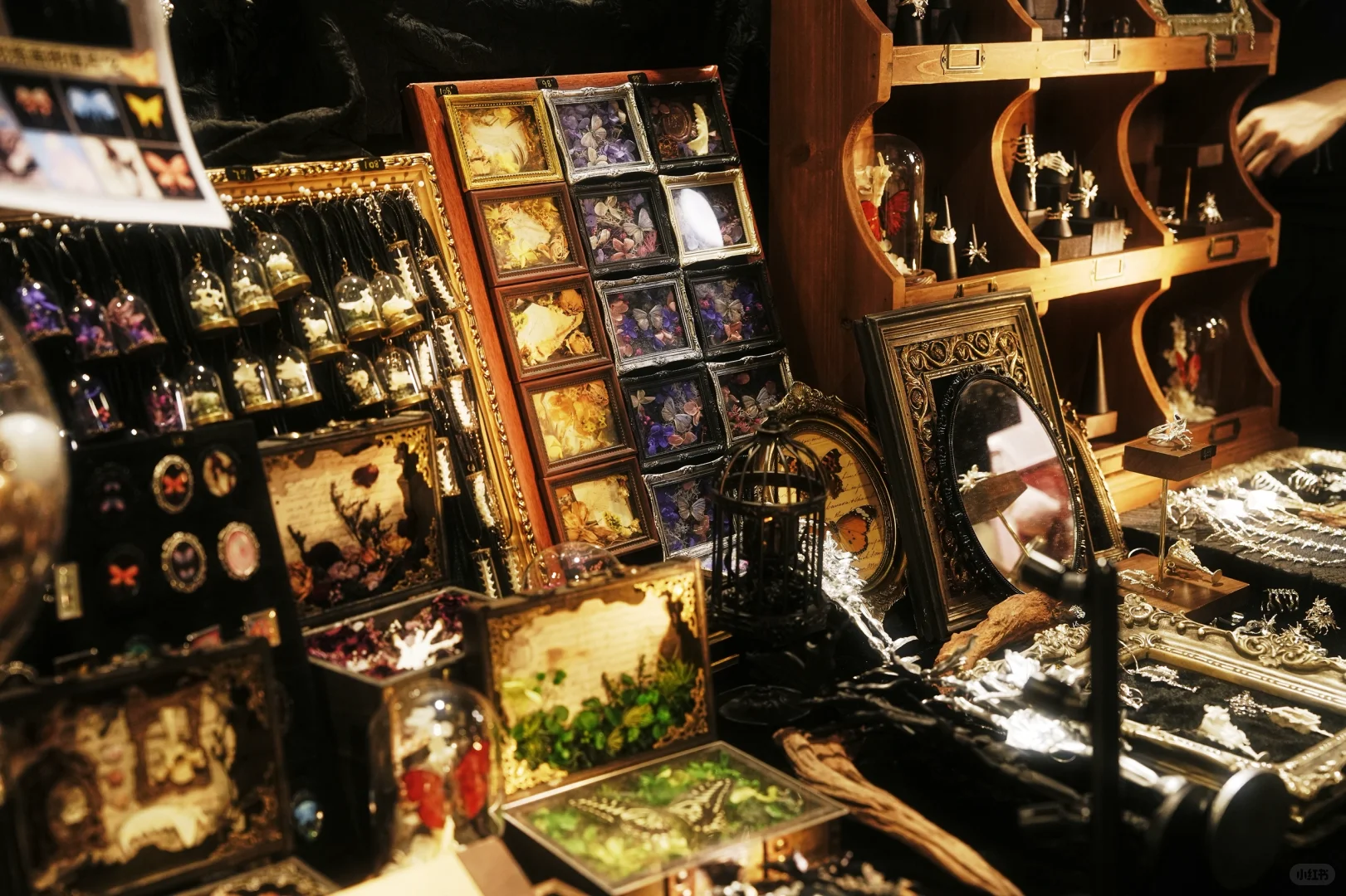诺亚设计展｜回顾