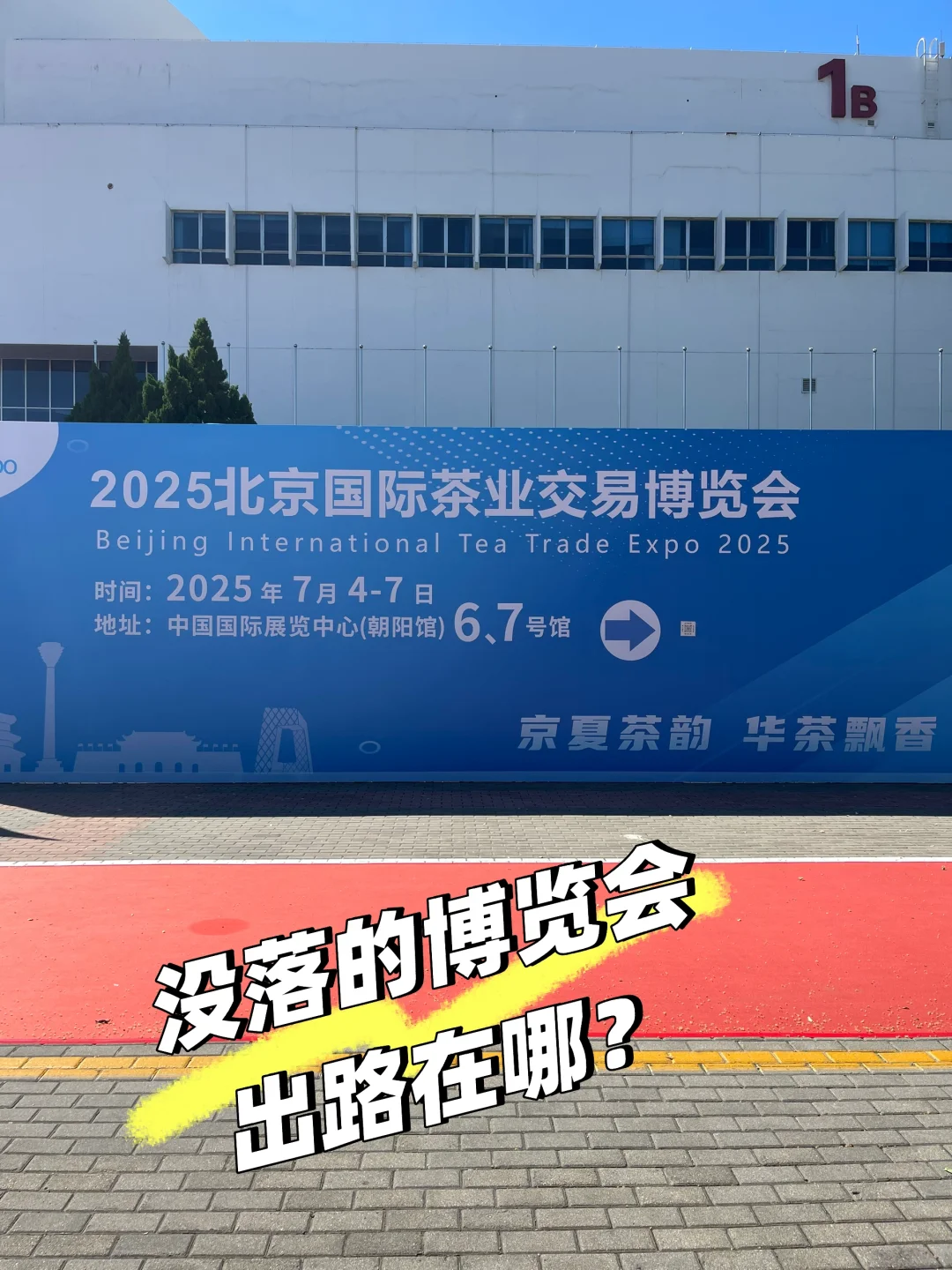 茶业博览会的出路？