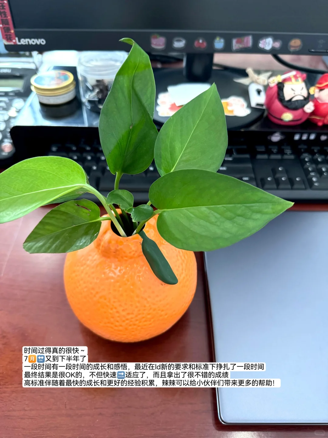 体制内财务新手必看，一文看懂政府集中采购