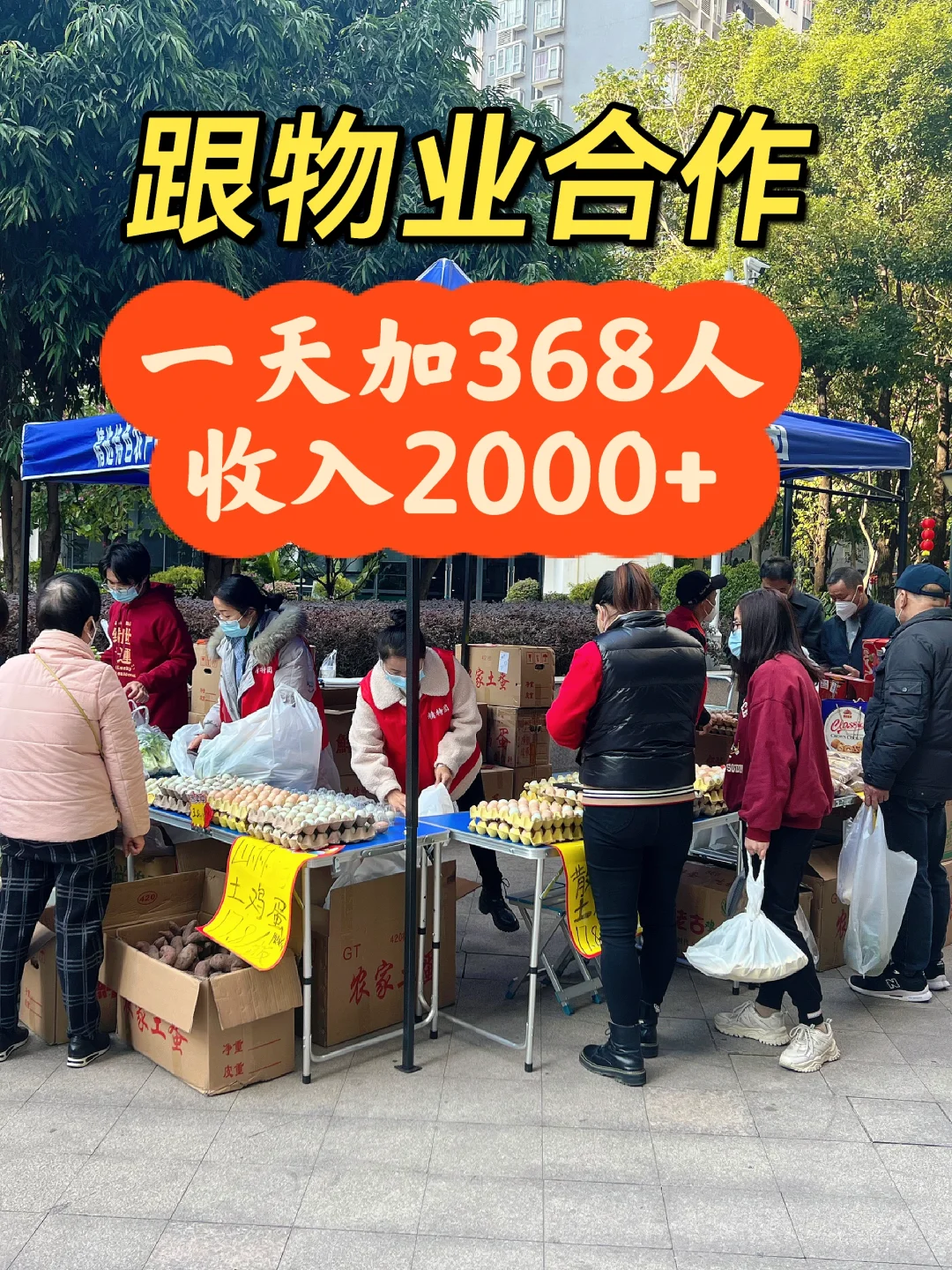 社区团购与物业合作1天368人，收入2000+