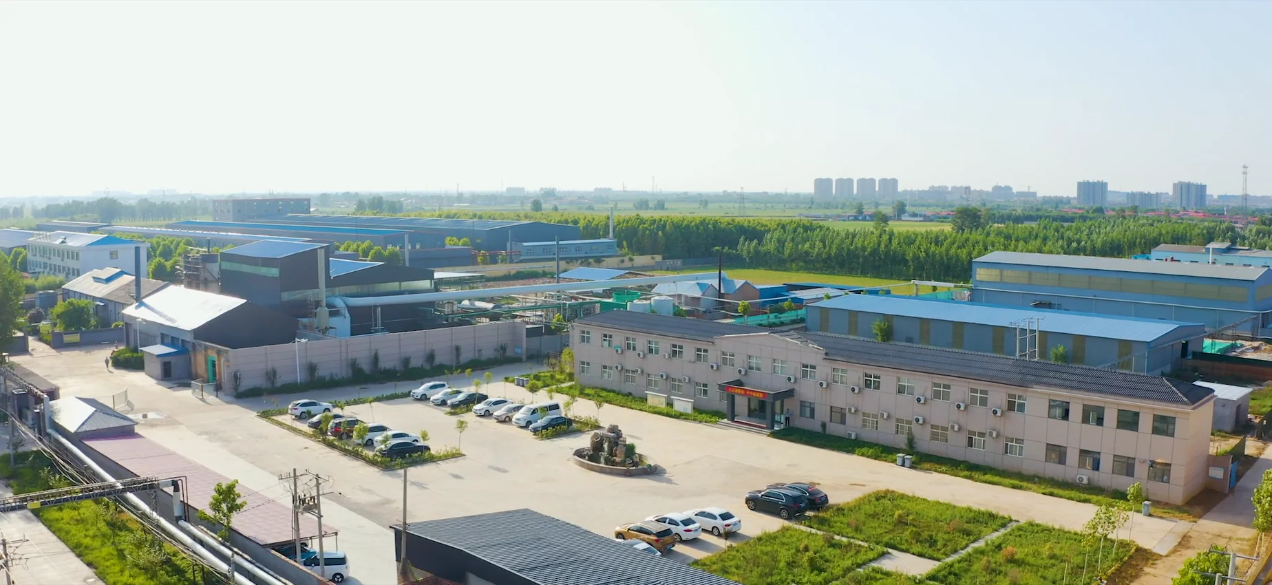 石家庄招聘国际站运营。双休法休五险，