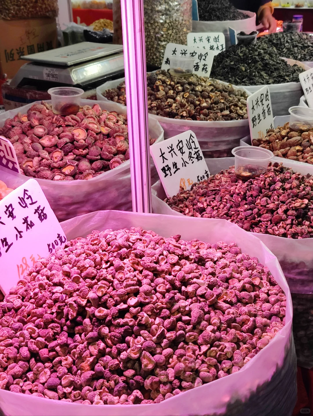 呼和浩特：周末去逛展销会