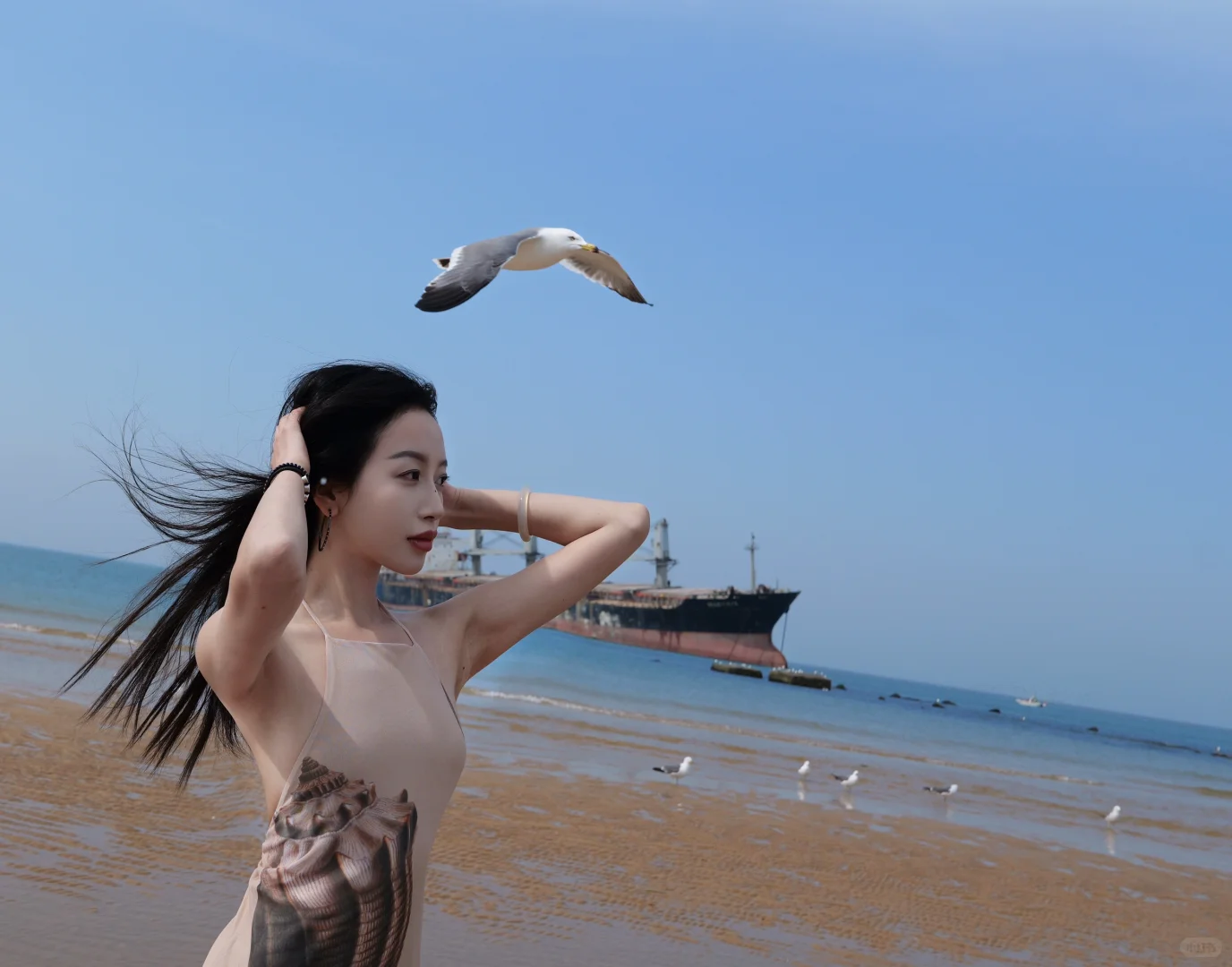 威海布鲁维斯号真的好难拍