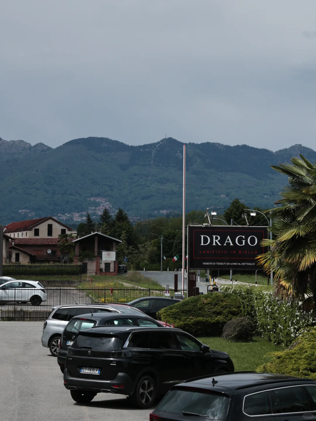 我做過表現最穩定的意大利面料 —— Drago