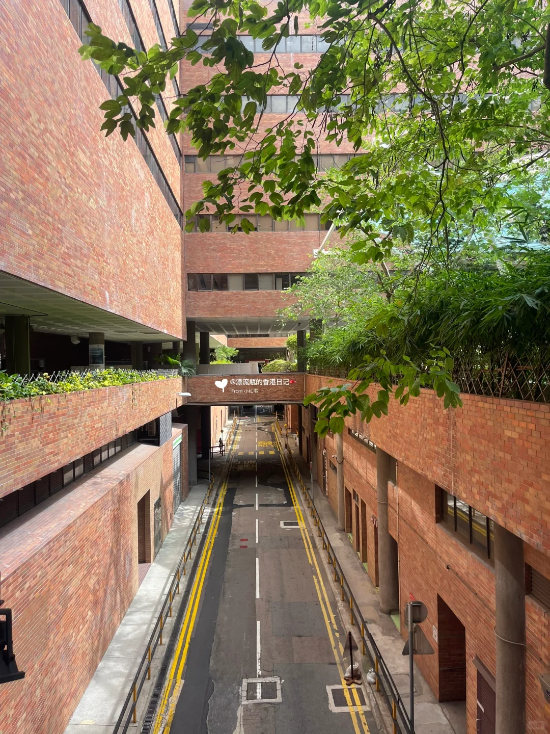 香港理工大学免费参观攻略‼️看顶尖毕业展‼️