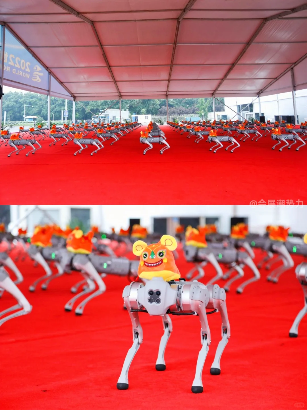 会展案例 | 北京第六届世界机器人大会