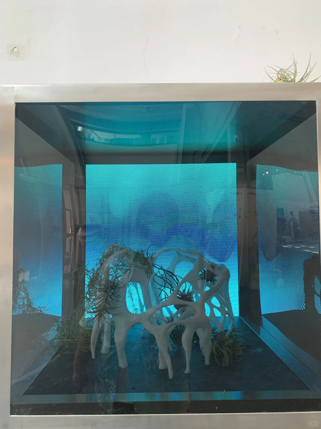 国美毕设展一部分作品展示