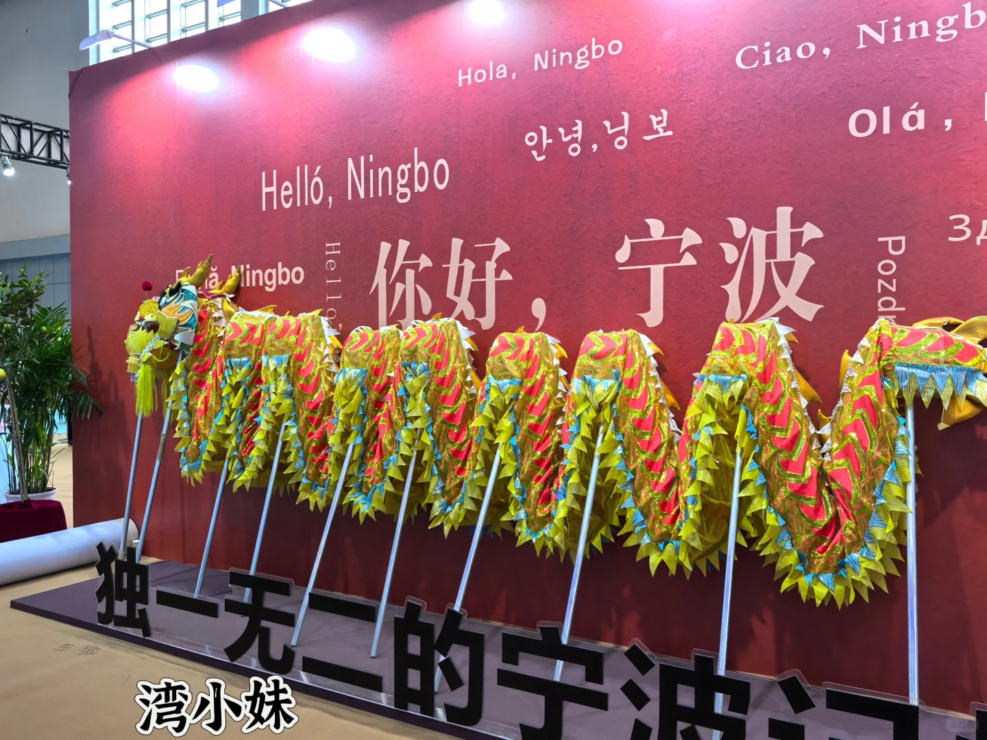 来了来了，浙江书展，旅游展