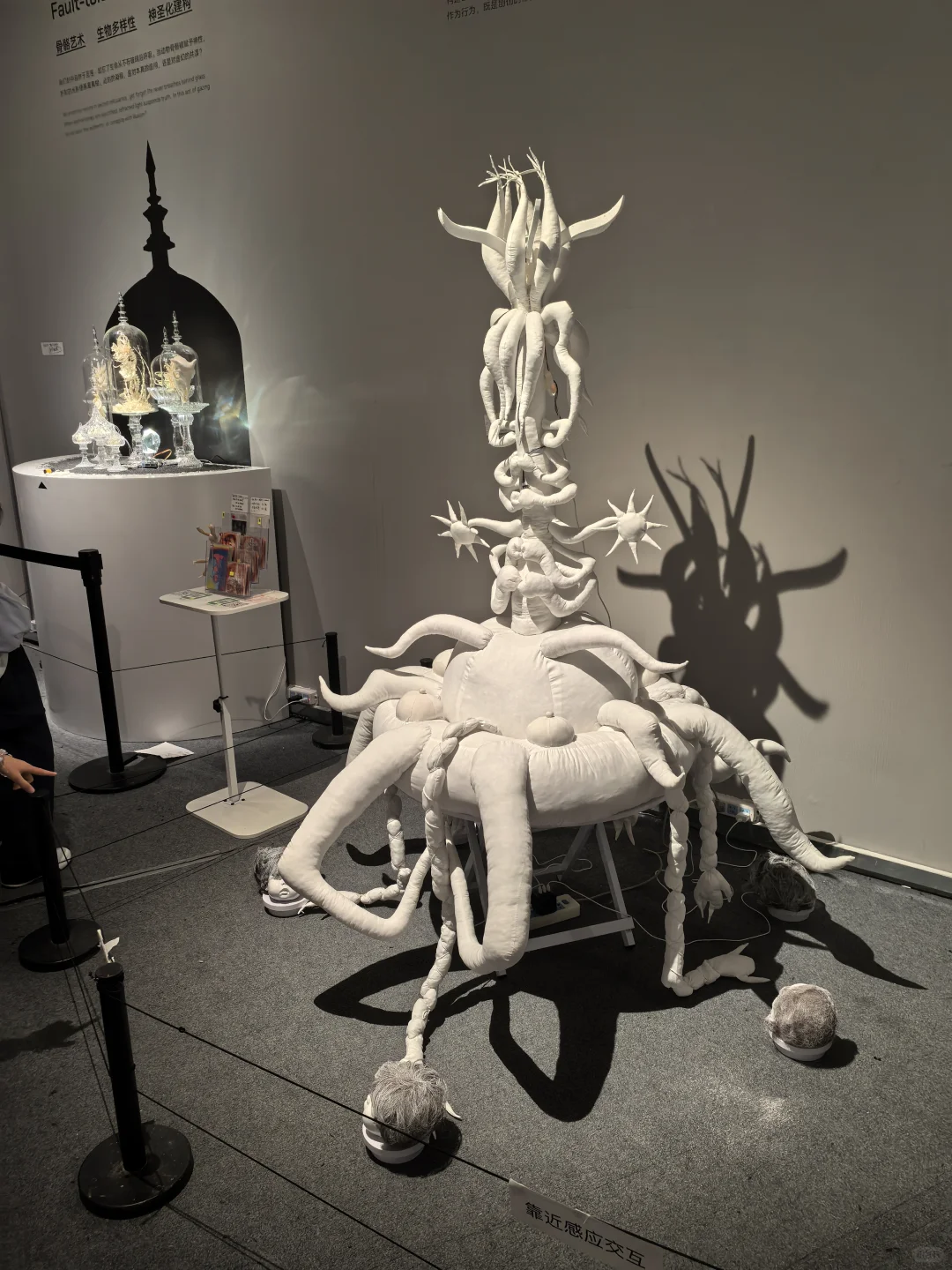逐光而行|央美毕业展