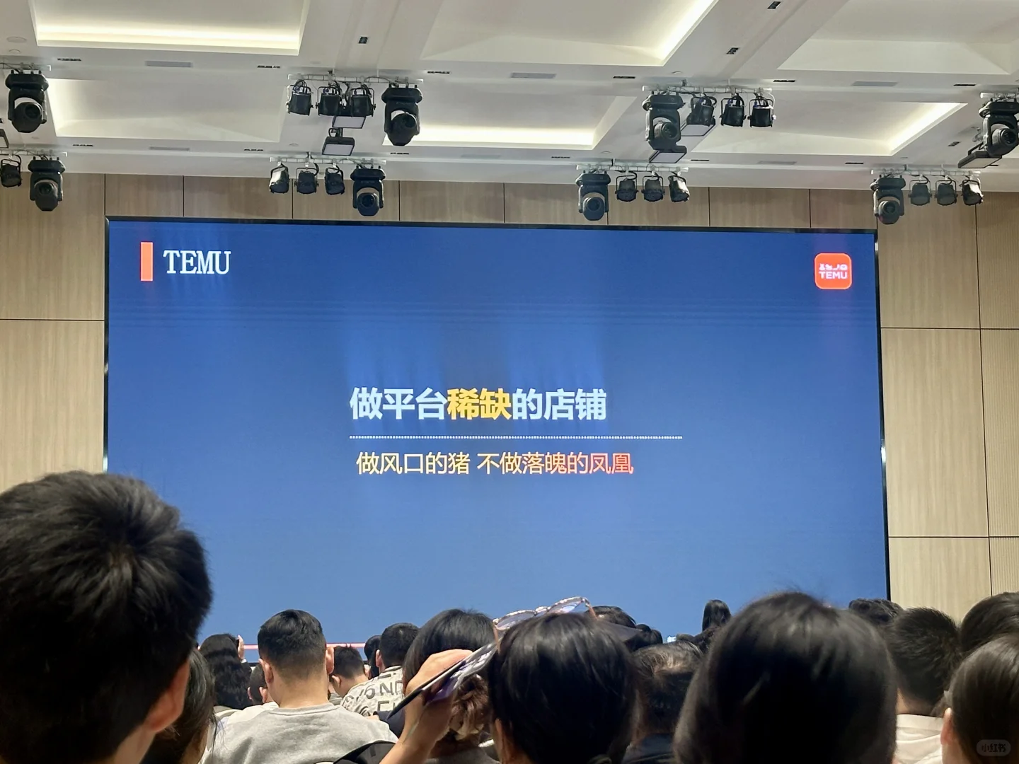 今天在忙的事，temu 女装峰会