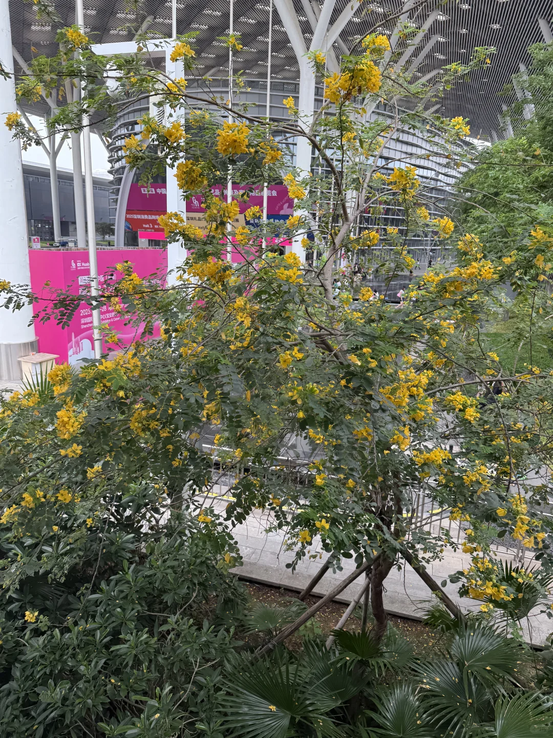 ?深圳礼品展超强攻略，薅羊毛逛展全拿下