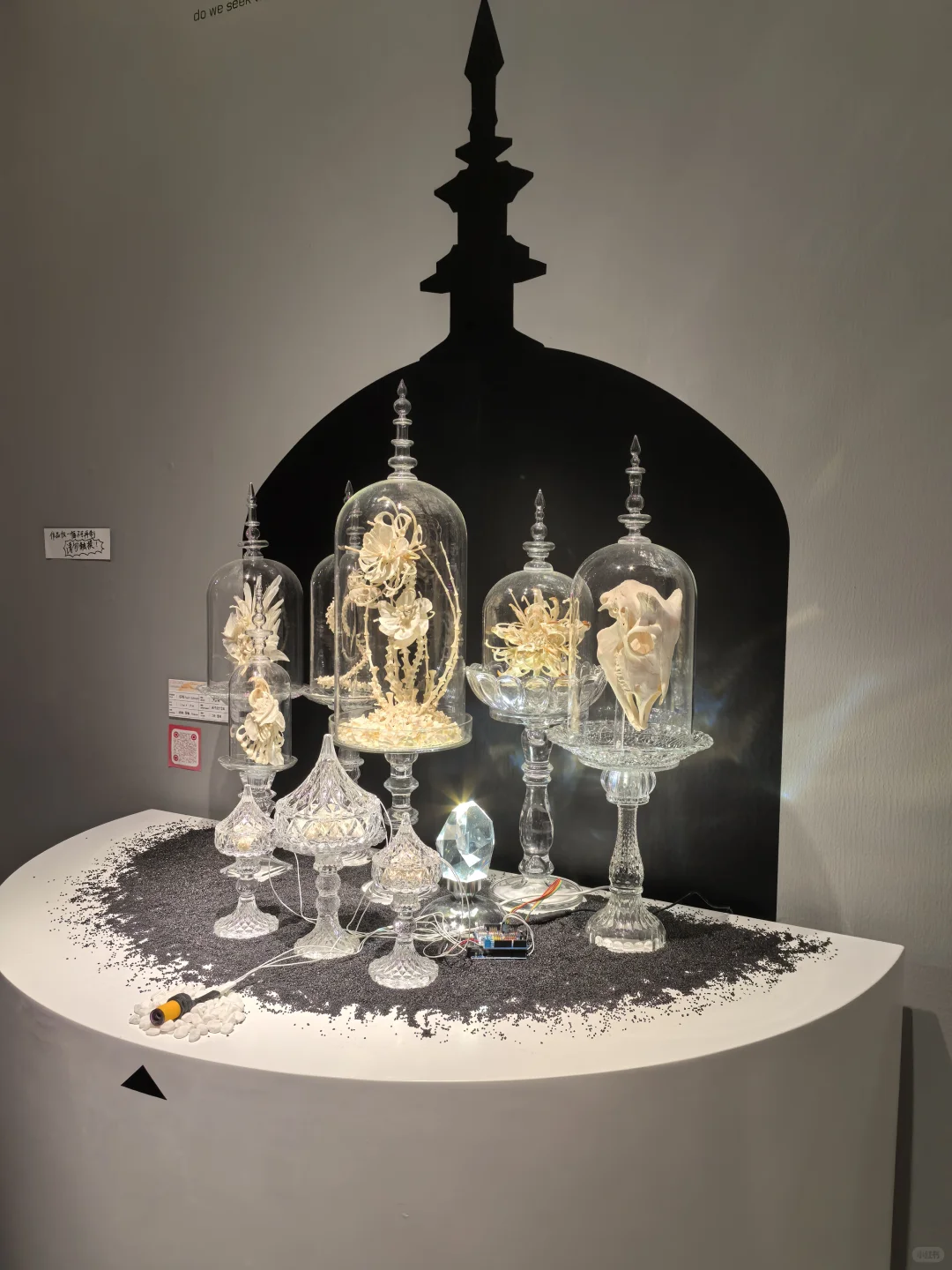 逐光而行|央美毕业展