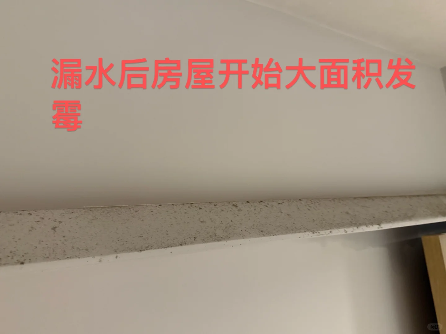 避雷深圳会展湾水岸租房