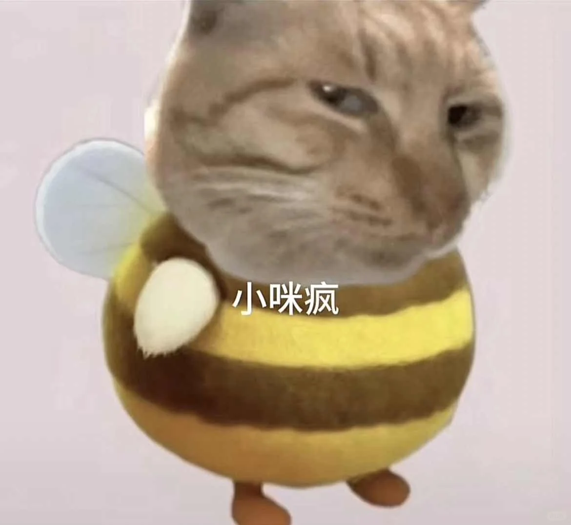 会展同行你们还好吗