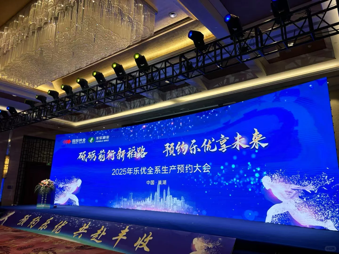会议场地布置 签约仪式 庆典会场布置