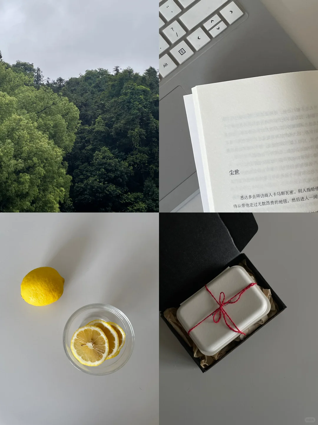 infp日记❸｜我是如何抵抗焦虑内耗的