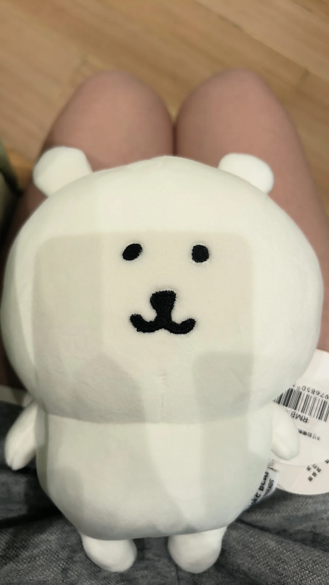 这只熊我无法抵抗。