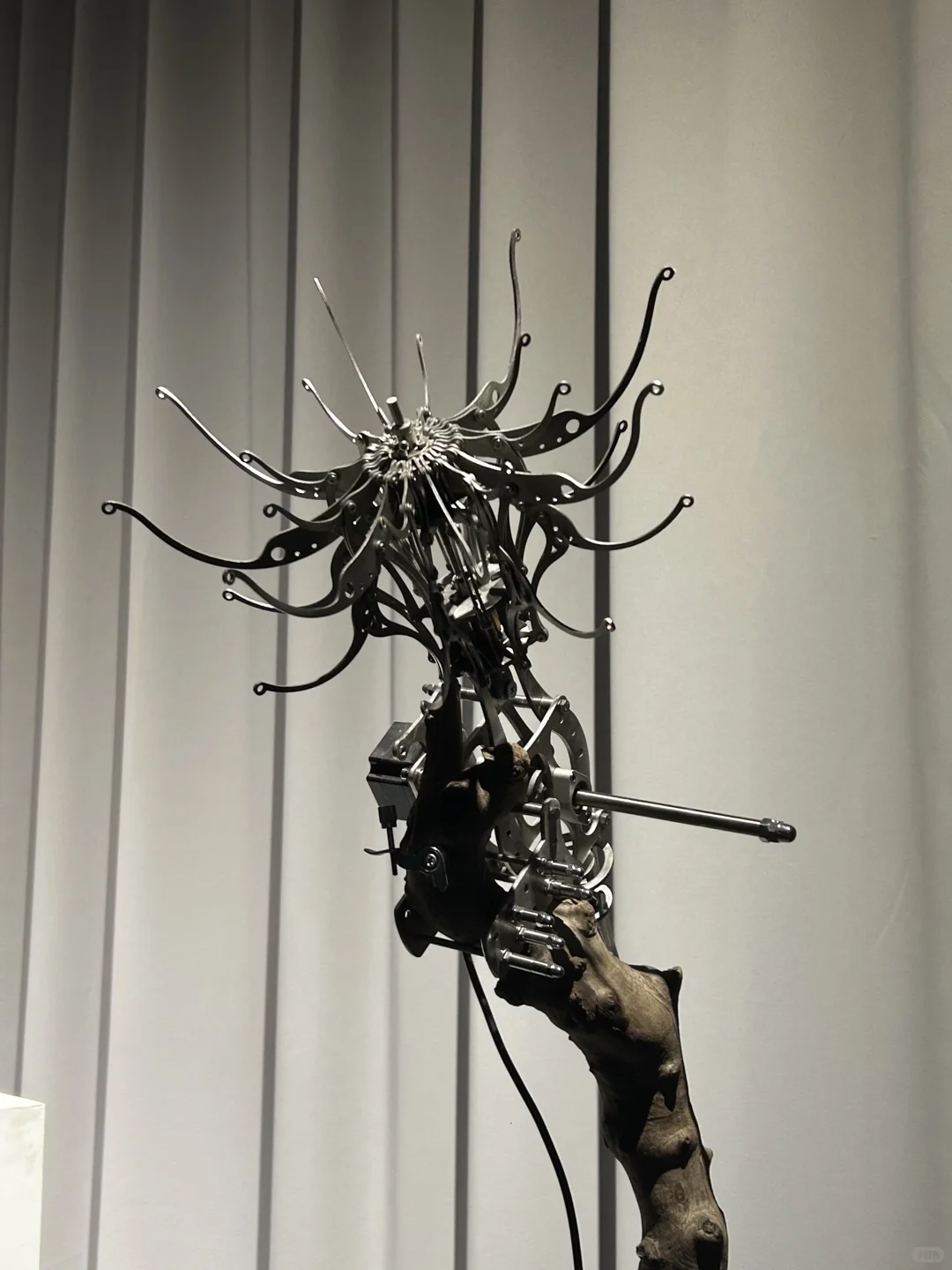 国美毕业展⚙️这几个作品nb《plus！会动！?