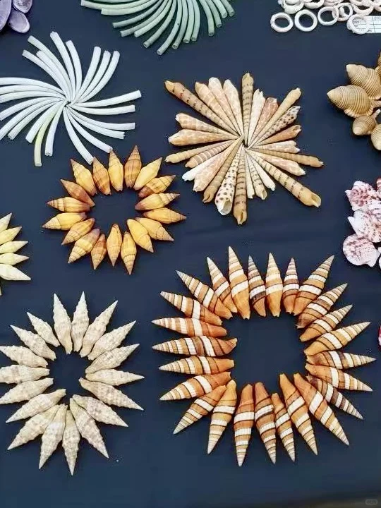 太原贝壳展，没错，就是史无前例