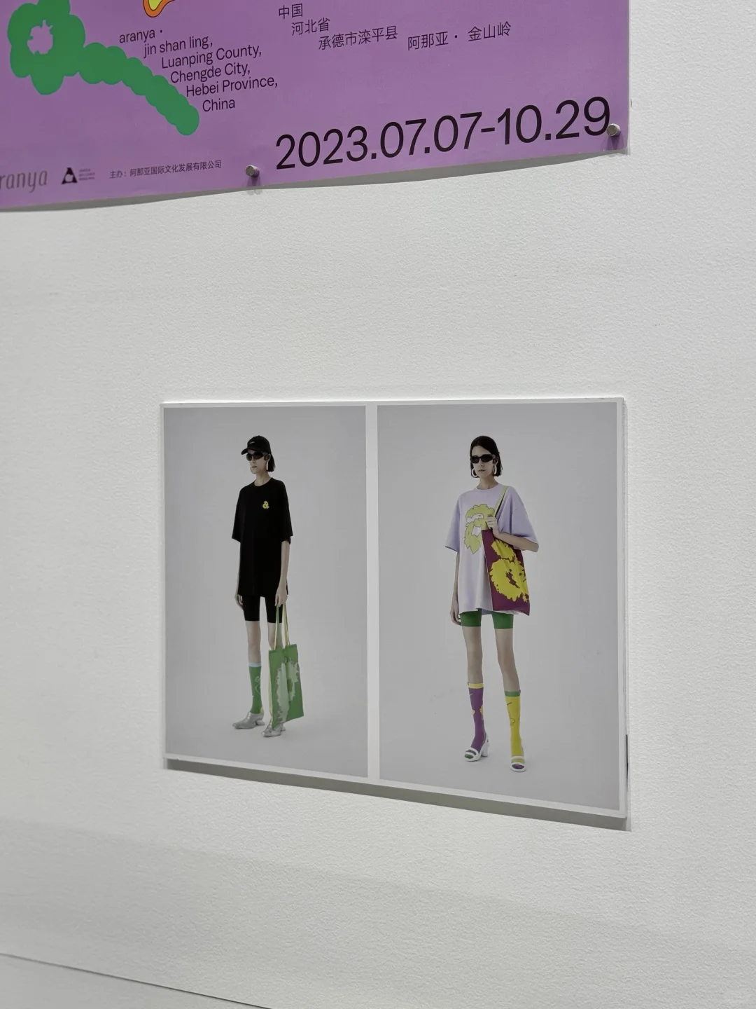 平面盛宴｜Tokyo TDC 2024-2025｜杭州看展