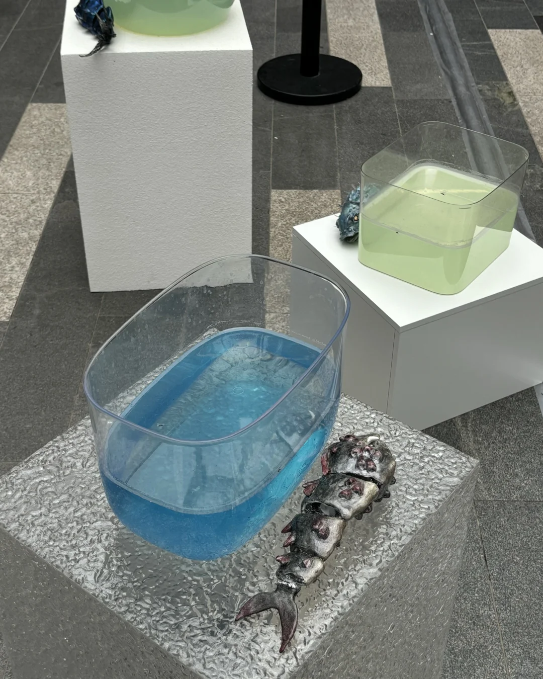 一年一度的西美毕业展?G-park今日开启?