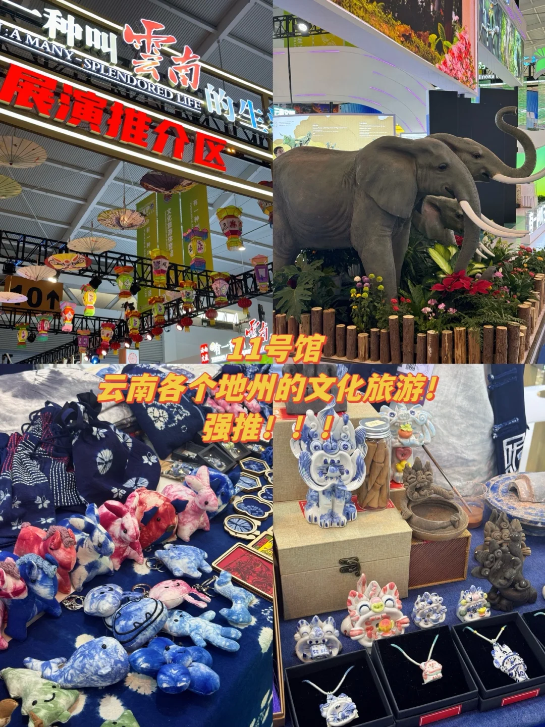 24年昆明南博会不跟风 超全逛吃及避雷攻略