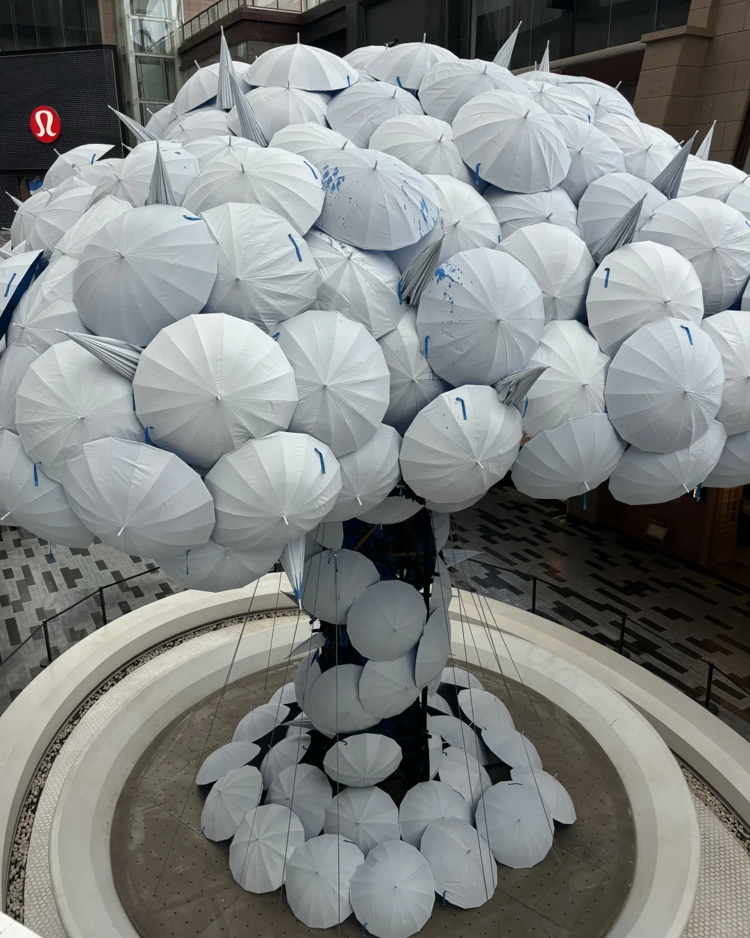 一年一度的西美毕业展?G-park今日开启?