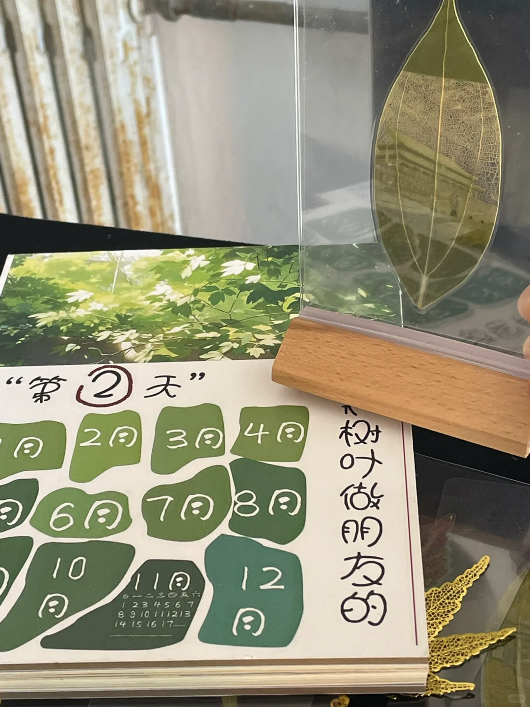 校园日常 创造想象王国 孩子们的书籍设计展